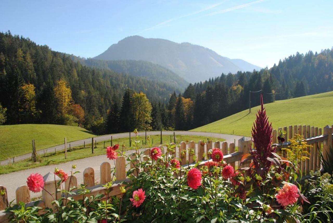 Familienbauernhof Glockriegl Villa Lunz am See Eksteriør bilde